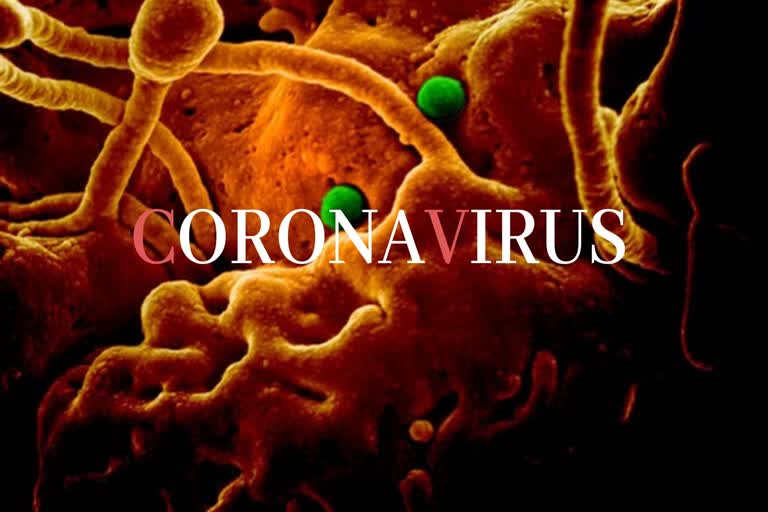 coronavirus