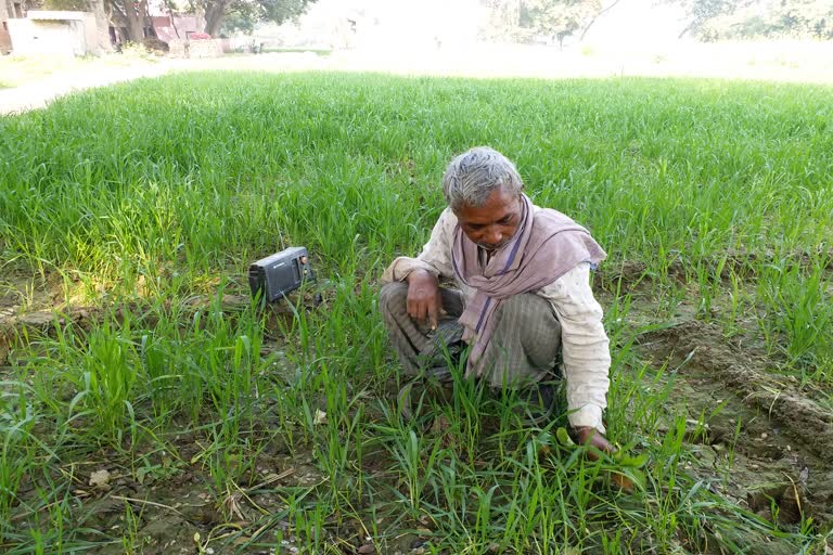 आज भी बुजुर्गों की पहली पसंद है रेडियो.