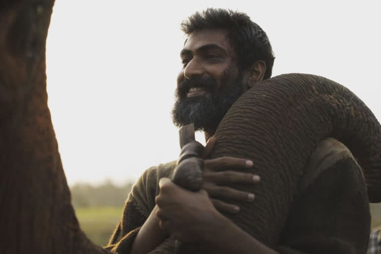 Rana Daggubati lost 30 kgs for his role in Haathi Mere Saathi