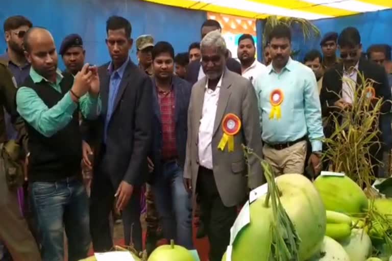 Inauguration of Agricultural Fair in Seraikela