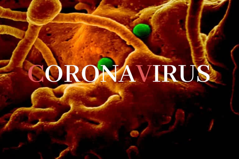 Two test positive for coronavirus at Kolkata airport