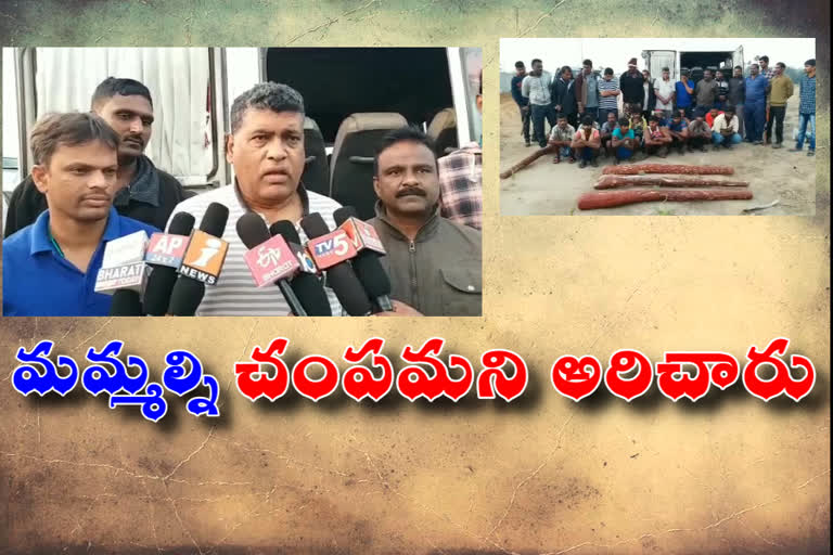 red sandal smugglers arrest in srinivasa mangapuram