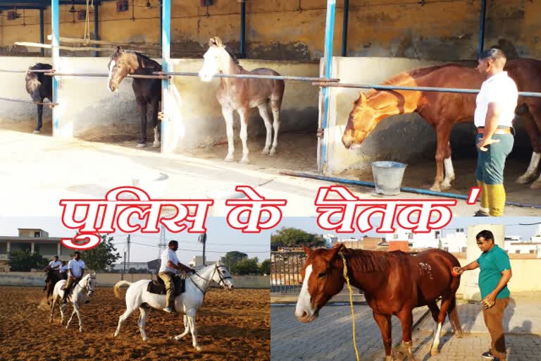 bharatpur news  horses in bharatpur police  police who are without salary  bharatpur police new