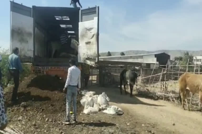 गौवंश, टोंक की खबर, Piplu police station