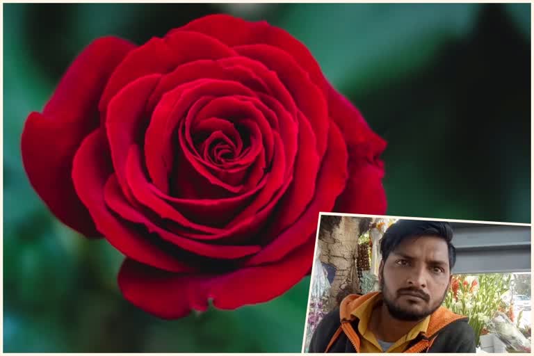 On the occasion of Valentine's Day roses were sold for 40 rupees instead of 20