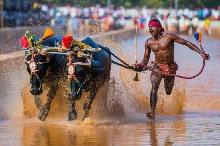 K'taka man's 100m dash in water-filled field wows Twitterati