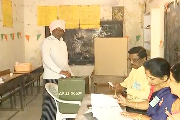 Clearly co-operative election polling  at warangal