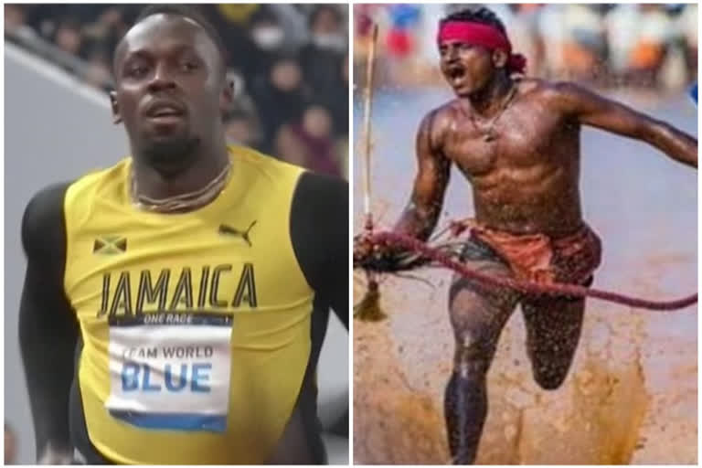 kambala buffalo race : karnataka usain bolt srinivasa gowda compared with jamaican sprinter usain bolt