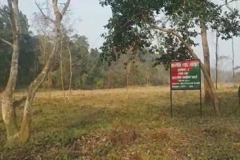 Valmiki Nagar Tiger Reserve