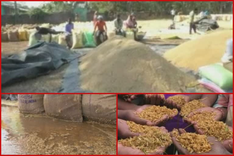 rice mandi problem in kalahandi