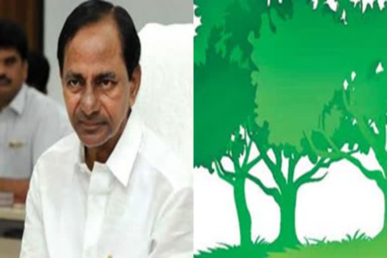 plantation-programmed-on-kcr-birthday