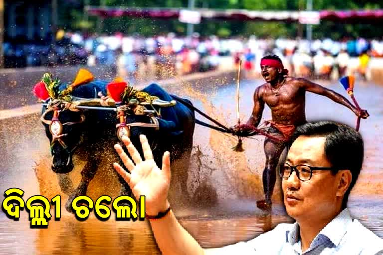 sports-minister-kiran-rijiju-called-srinivas-gowda-a-kambala-jockey