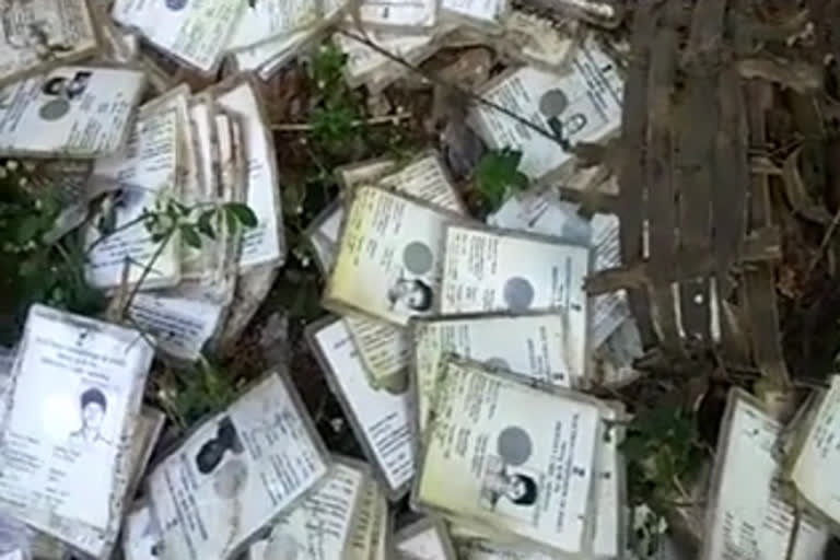 wandering-voting-cards-were-found-at-the-kilavani-talati-office-in-dadra-nagar-haveli