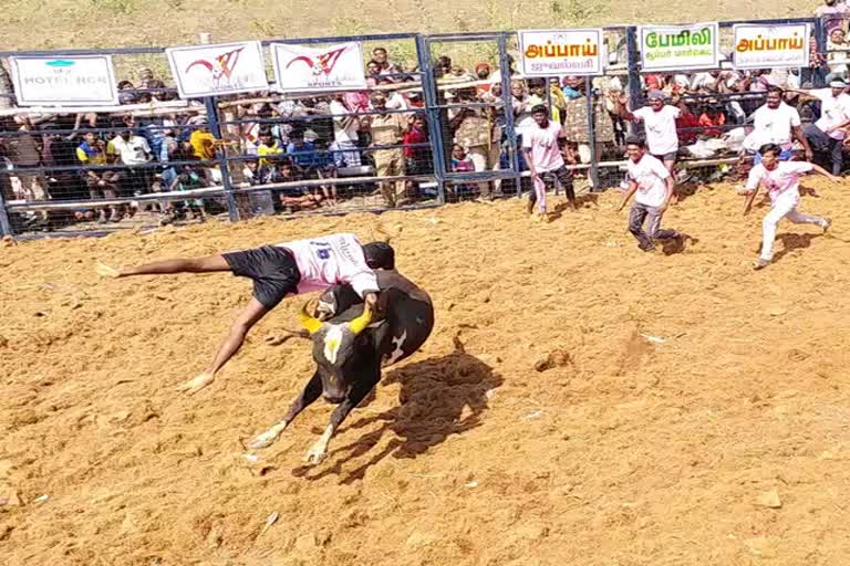 jallikkattu