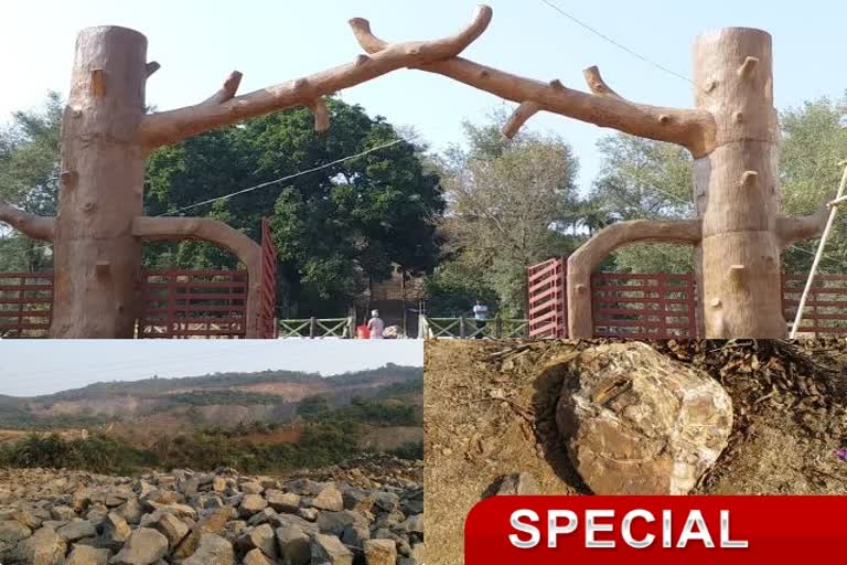 Sahibganj existence of Fossil Park is in danger