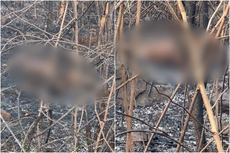 thrissur wild fire  വനംവകുപ്പ് ഉദ്യോഗസ്ഥര്‍  ദേശമംഗലം തീ  കൊറ്റമ്പത്തൂര്‍ കാട്ടുതീ  പൂങ്ങോട് ഫോറസ്റ്റ് സ്റ്റേഷന്‍  ട്രൈബല്‍ വാച്ചര്‍