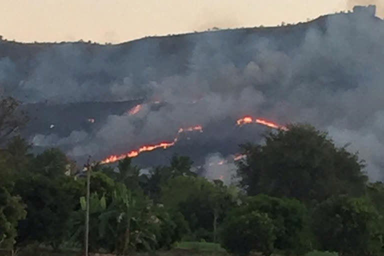 forest-fire-in-chittoor-district