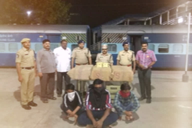 RPF  has arrested a gang who suppling marijuana through trains