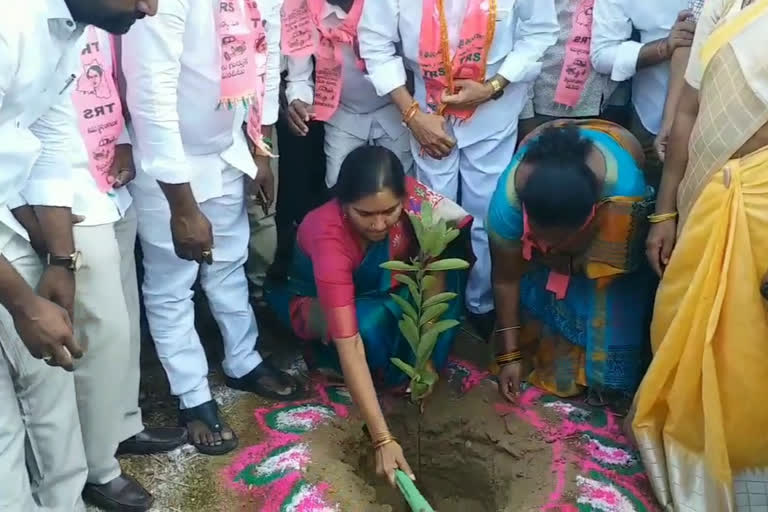 cm kcr birthday celebrations in medak