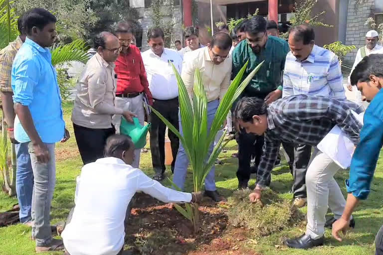 మొక్కలు నాటి సీఎం జన్మదిన వేడుకలు