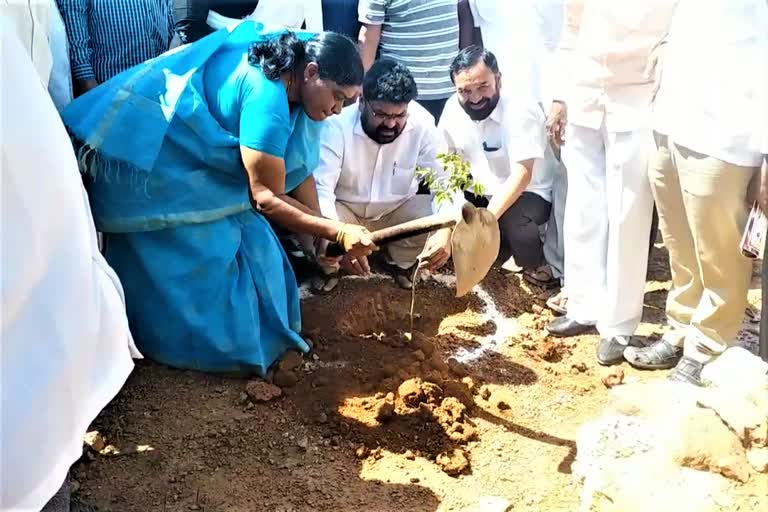 plantation on kcr birthday in mulugu