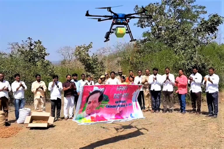 SEEDS SPRINKLING WITH DRONES IN SIRICILLA