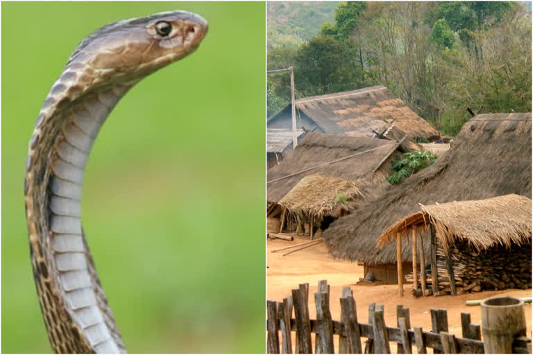 most of the snake bite deceases are appeared in villages.. there must need a special health care units said experts