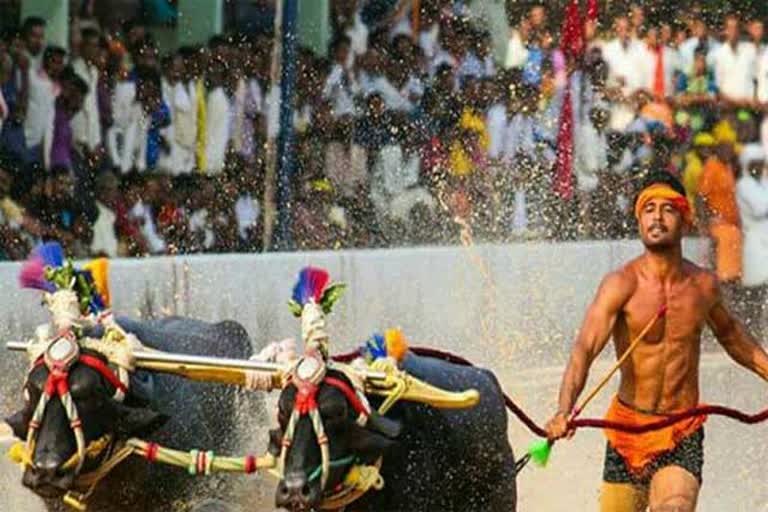 another-kambala-runner-nishant-shetty-breaks-srinivas-gowda-record