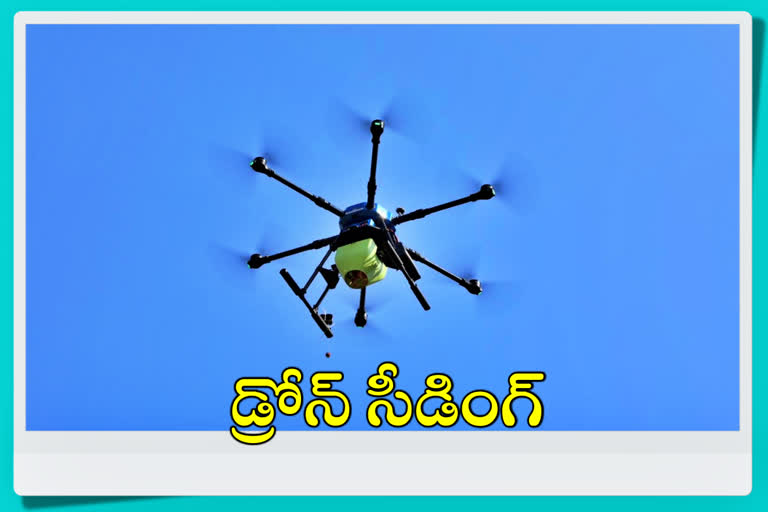 seedling-with-drone-at-siricilla-district