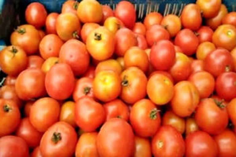 france-confirms-first-case-of-ruinous-tomato-virus