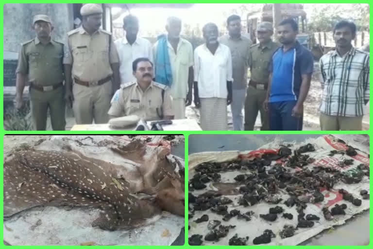 some people are arrested FOR sale of  dhuppi meat at kadapa