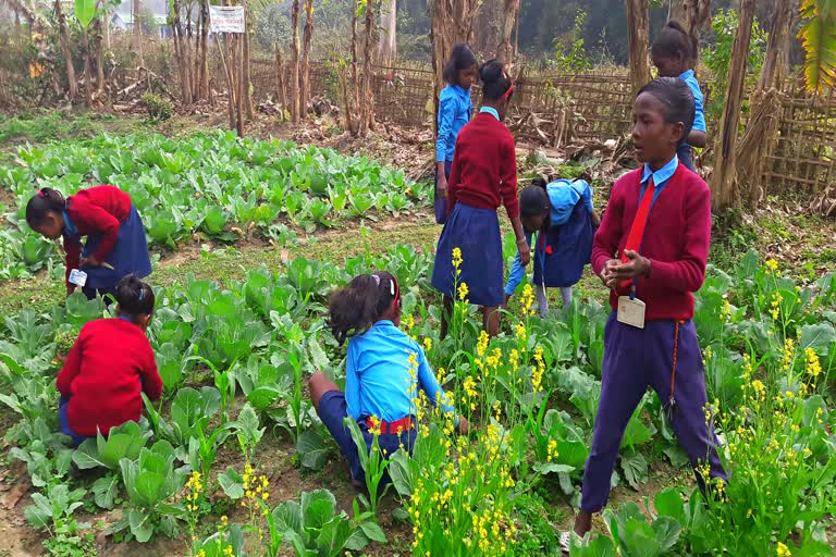 TEOK GOVT IDEAL LP SCHOOL JORHAT ASSAM ETV REPORT