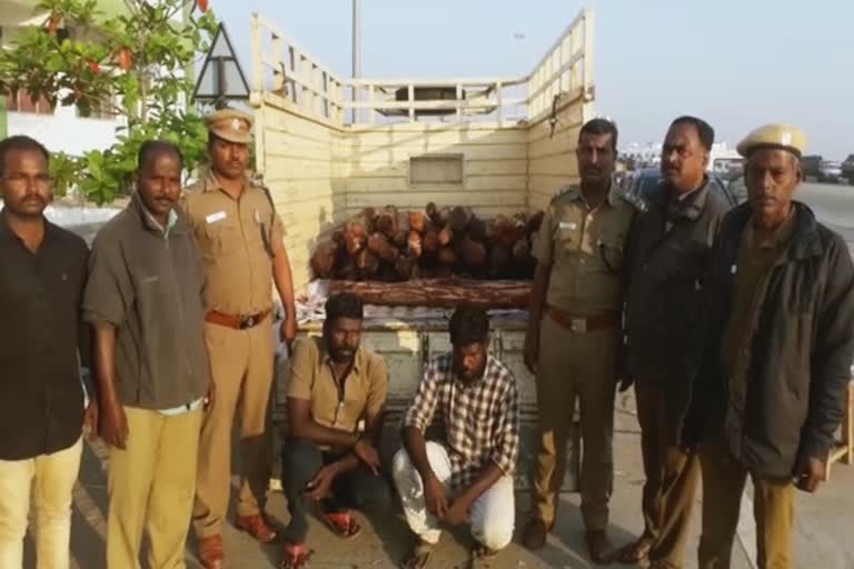 thiruvallur police seized 20 lakh worth red wood and arrested 2