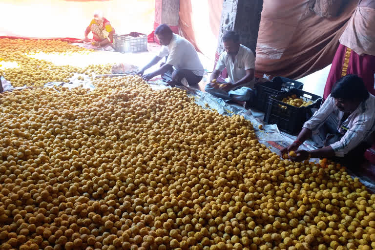 villupuram in kailasanathar laddu preparation started for temple maha sivarathiri