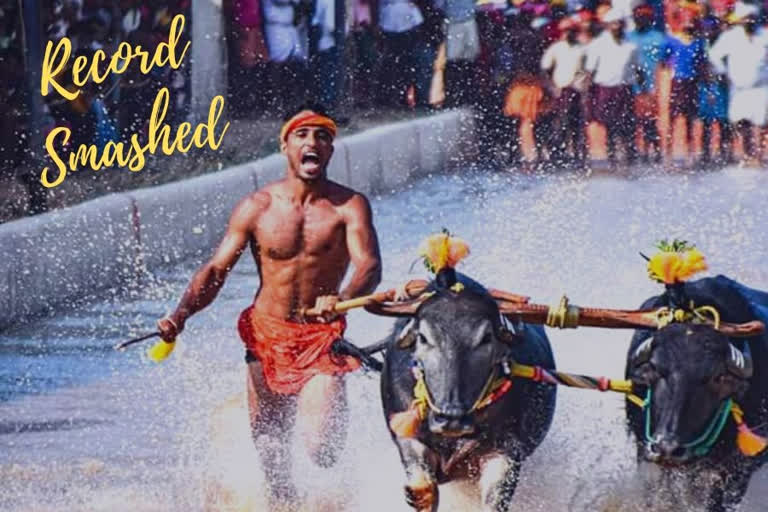 Udupi man trashes Kambala jockey's sprint record in Kambala race