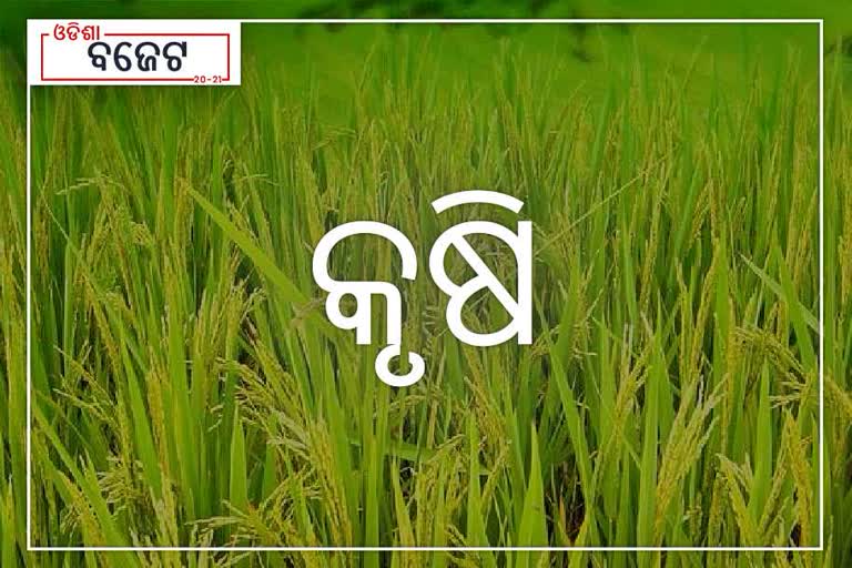 agriculture-budget-of-odisha