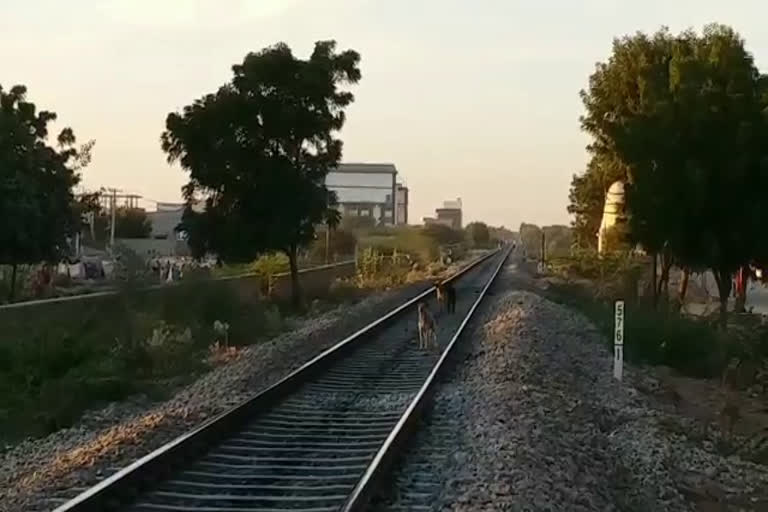 2 fetuses railway track in Nagaur, नागौर में मिले 2 भ्रूण