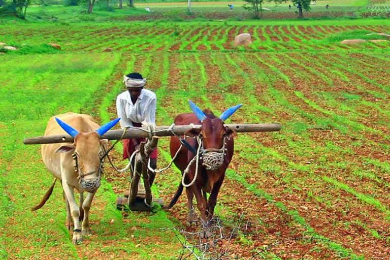 50 billion dollars of organic farming :Is India viable?