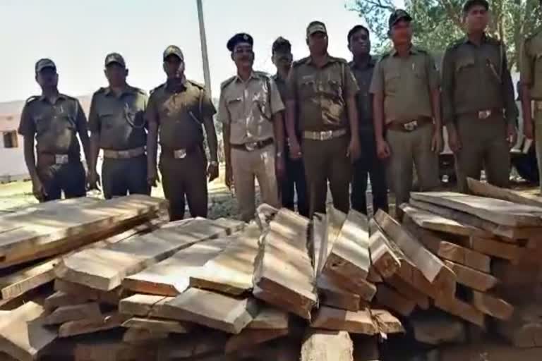 lakhs of Illegal wood seized in kalahandi