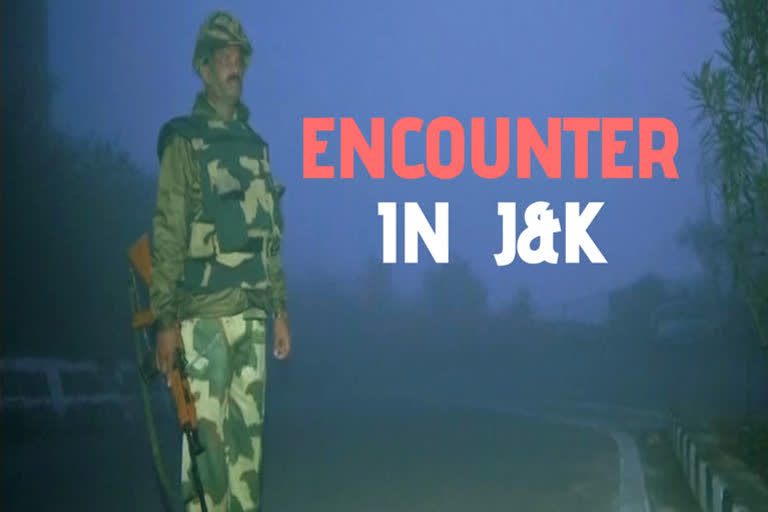 Pulwama encounter  Three militants killed  JK Police  Pulwama  ജമ്മു കശ്‌മീർ  തീവ്രവാദി  സൈന്യം  പുൽവാമ  സുരക്ഷാ സേന