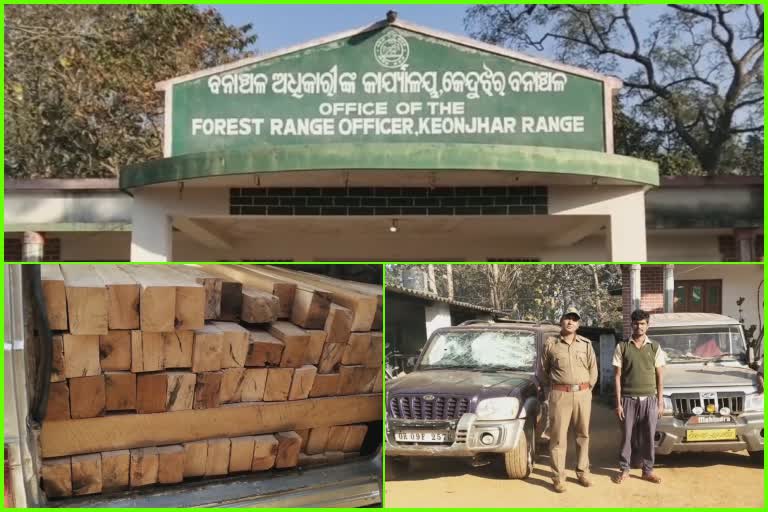 wood-seize-at-sadar-forest-range-of-keonjhar