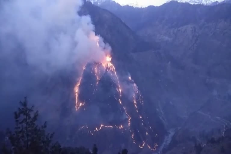 fire in suru forest of kinnaur