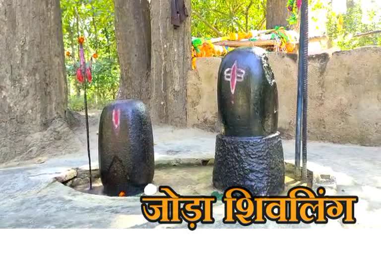 special story of two shivling from kondagaon