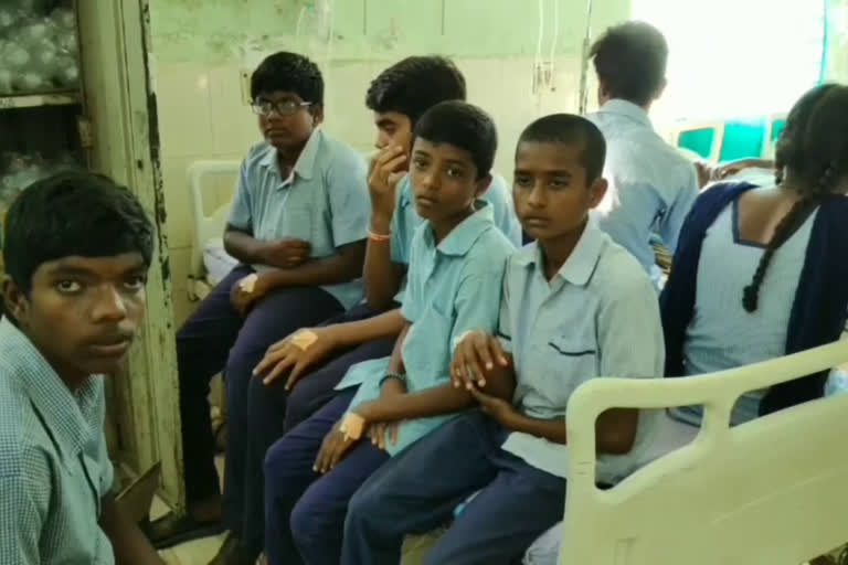 Bees Attack on Students at Dharmaram school in Warangal rural district