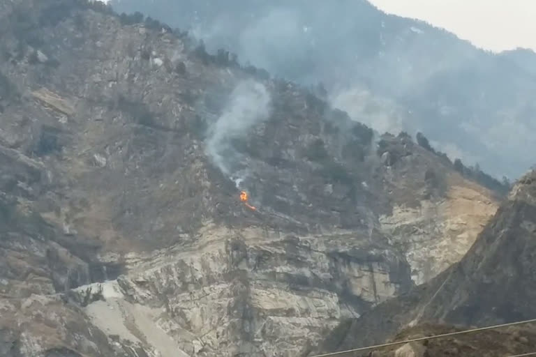 There was less fire in the forests of Kinnaur