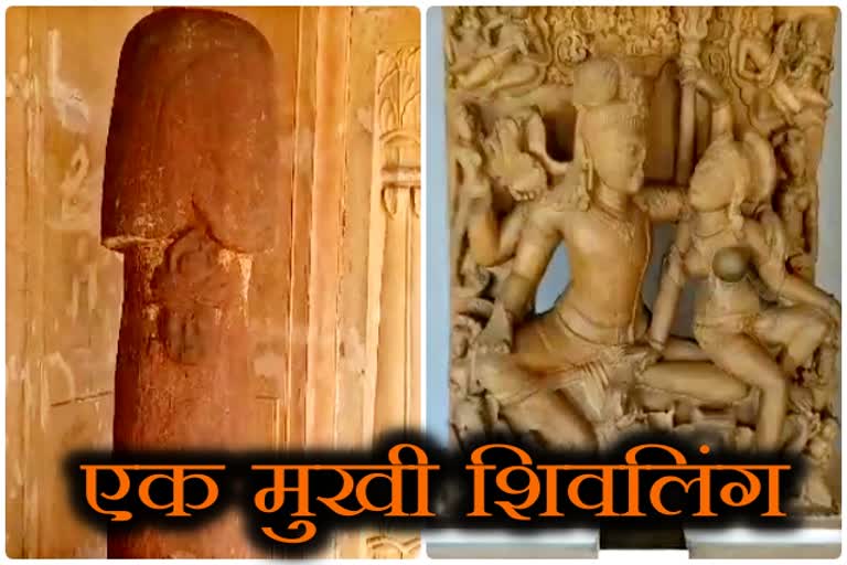 भरतपुर राजकीय संग्रहालय , Bharatpur Museum, भरतपुर में शिव की मूर्तियां, mahashivaratri special, shiv idols in bharatpur