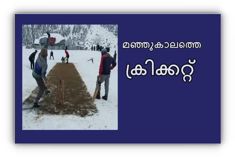 ക്രിക്കറ്റ് വാർത്ത  കൗതുക വാർത്ത  cricket news  cricket in snow news  മഞ്ഞില്‍ ക്രിക്കറ്റ് വാർത്ത  Interesting news