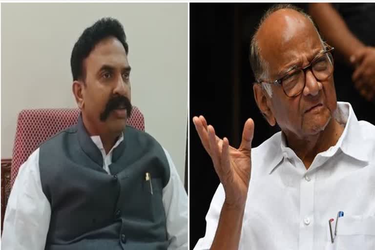 MP Ranjaitsingh naik nimablkar comment on sharad pawar