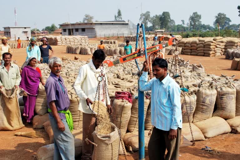 Purchase of 83 lakh metric tons of paddy in chhattisgarh