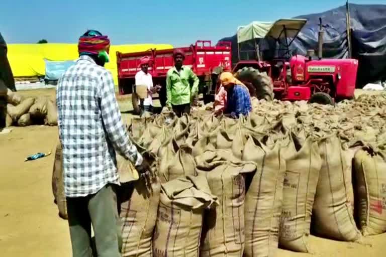 whole paddy purchase completed peacefully in Dhamtari